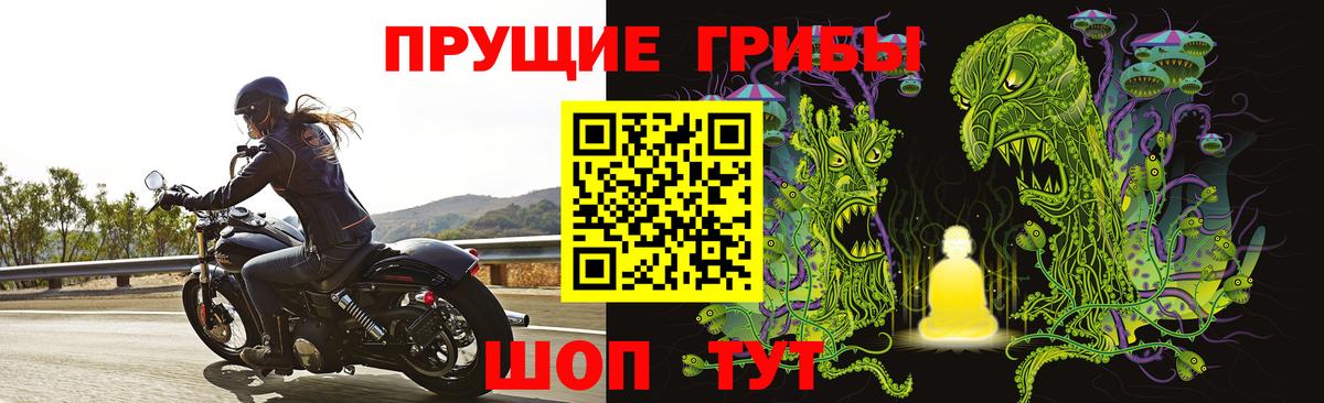 Псилоцибиновые грибы мицелий  Вход с VPN  Псилоцибиновые грибы Cubensis  Нальчик 