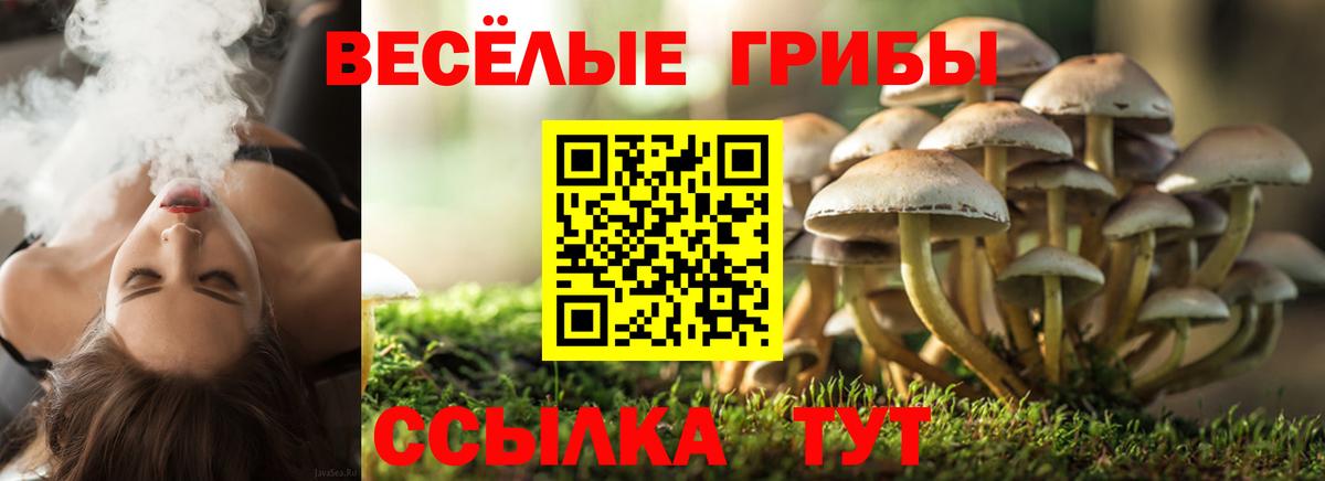 Псилоцибиновые грибы GOLDEN TEACHER Нальчик