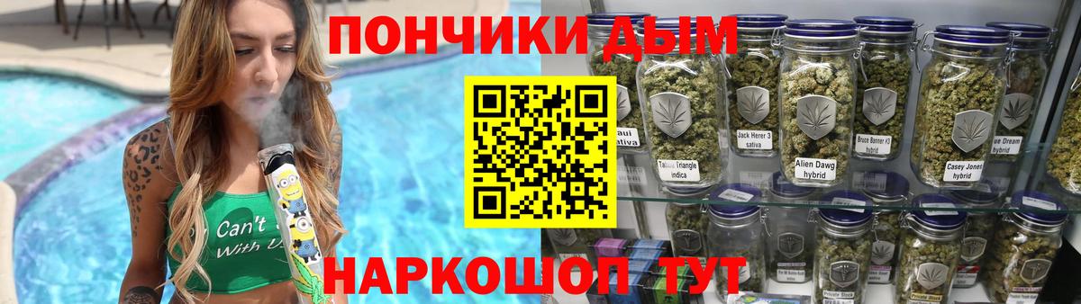 Нальчик  Каннабис план  Вход с VPN  Бошки марихуана индика  Конопля конопля 